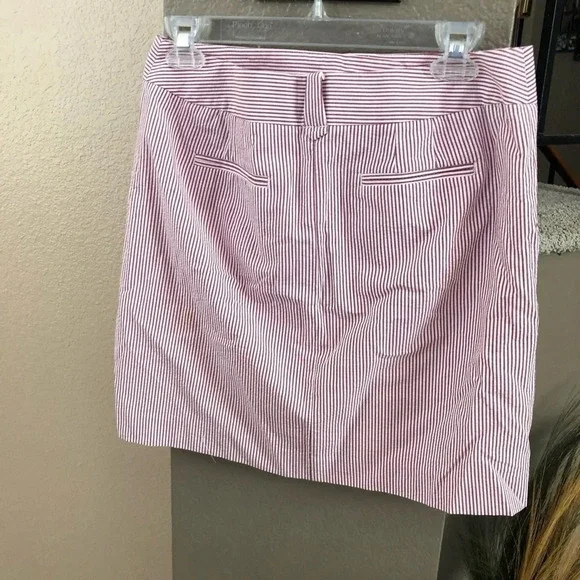 Ann Taylor Loft Petite Aline Stripe Skirt Size 4 P - Picture 3 of 5